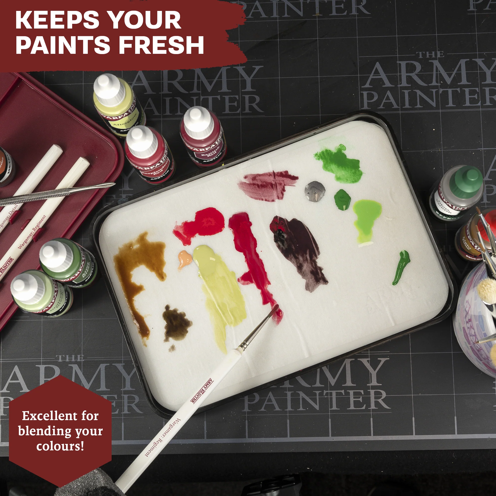 Complete Starter Bundle - Image 4